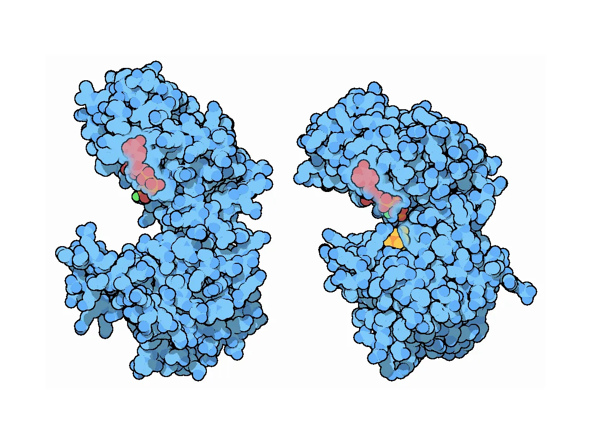 Comparative Structural Cartography of Key Regulatory Nodes in Tumor Glycolysis: A Multi-Enzymatic Allosteric and Energetic Perspective preview image