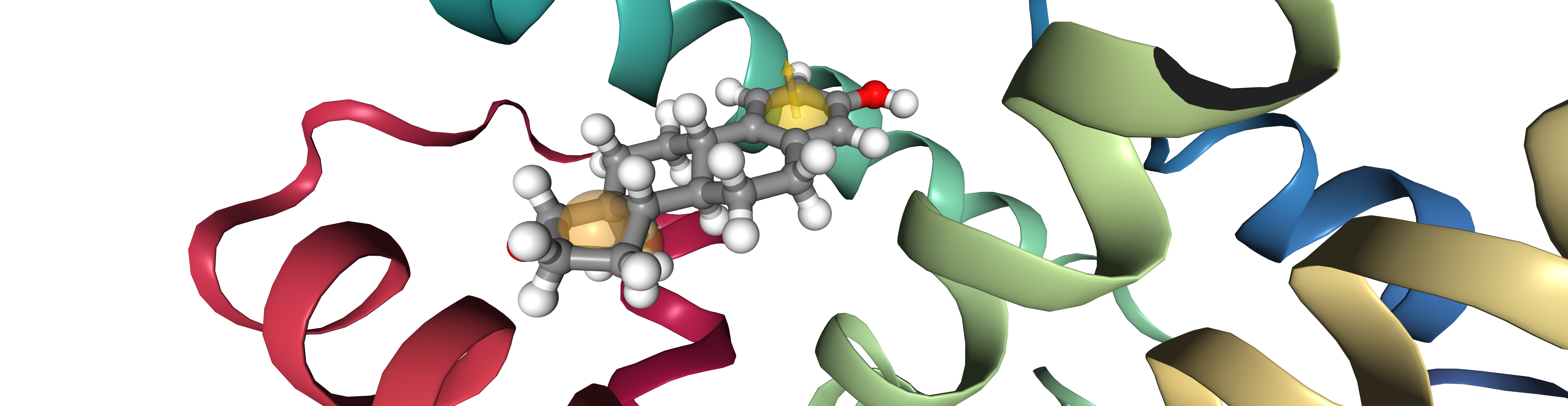 pharmacophore