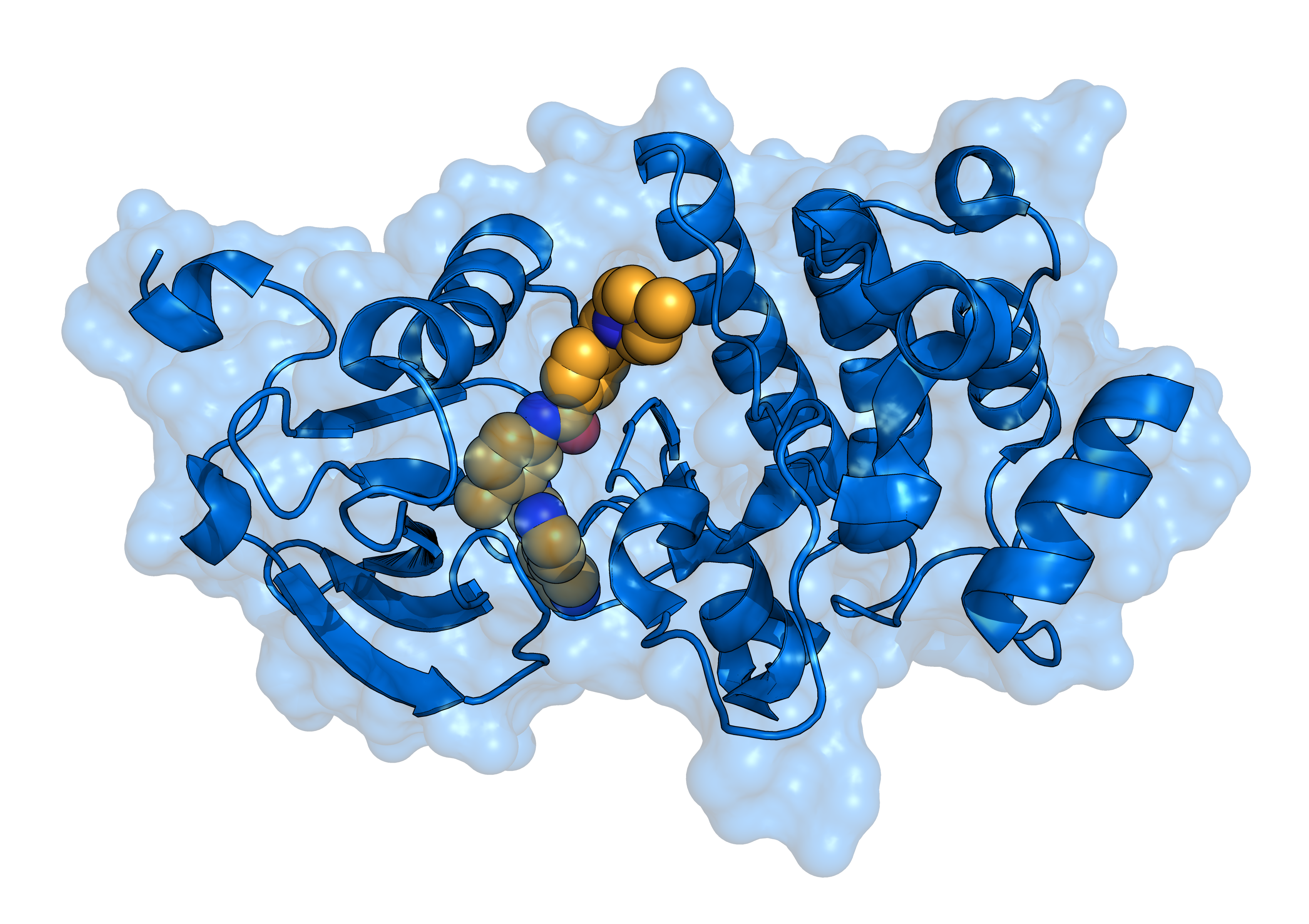 Protein cartoon representation with bound ligand in UIBCDF brand colors.